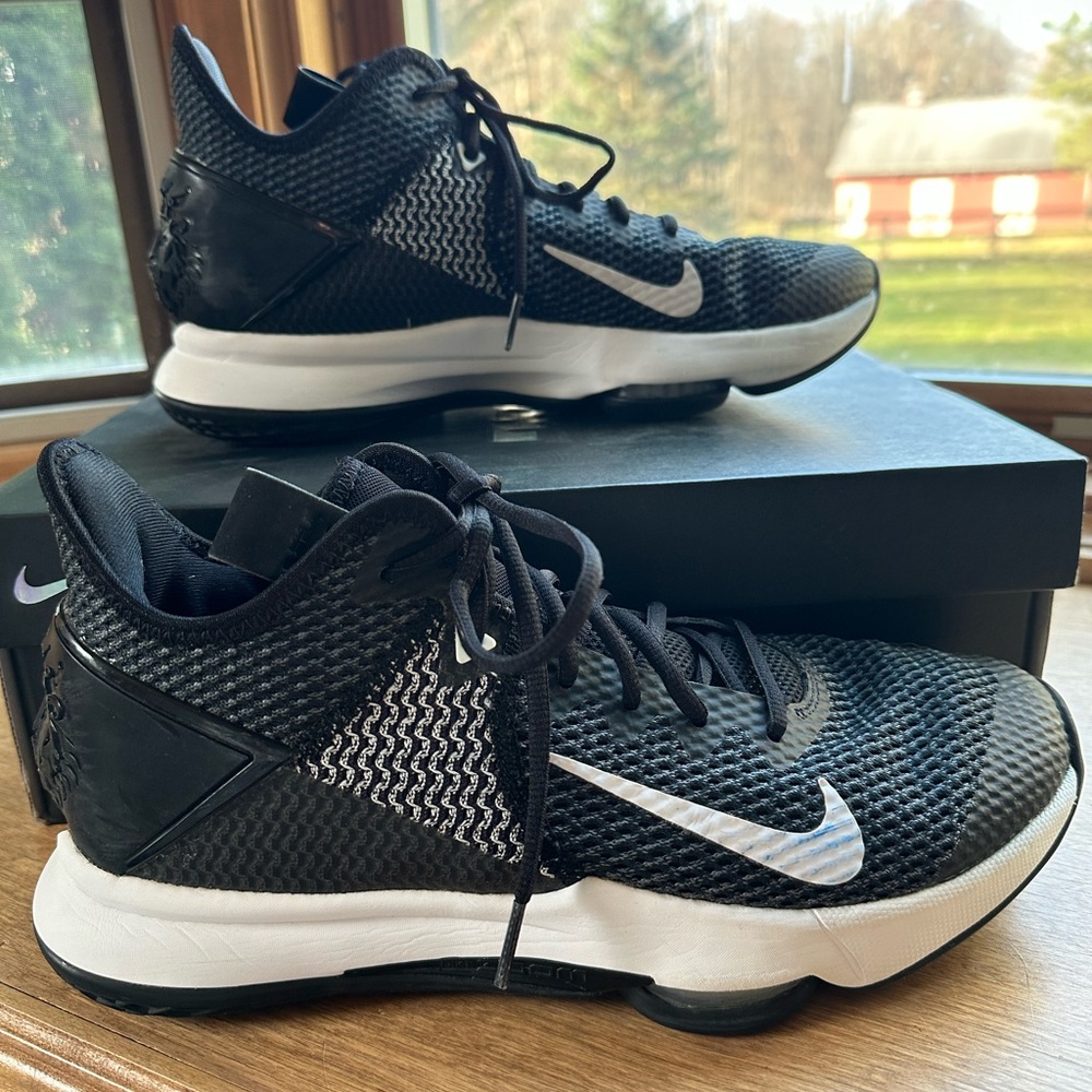 Nike LeBron Witness IV